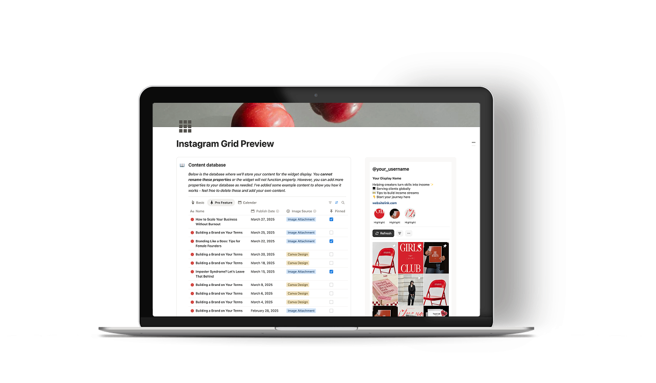 Instagram grid widget inside Notion showing a 3x3 feed preview